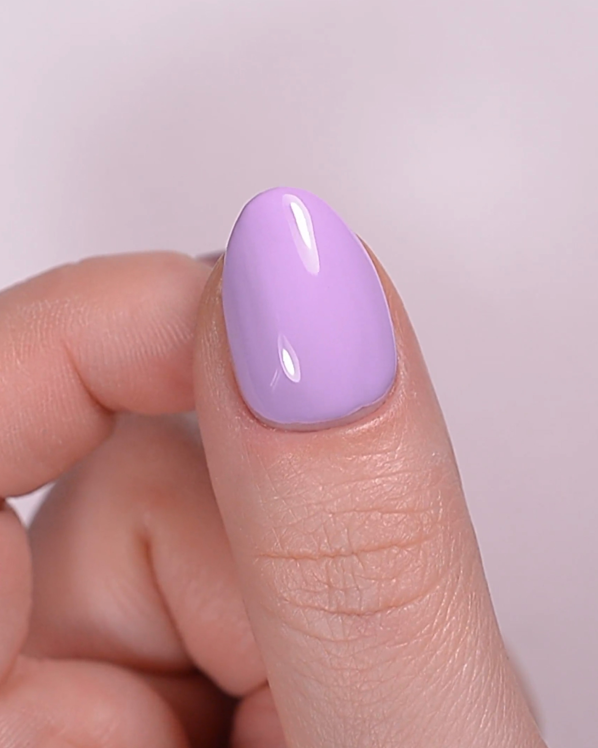 7day Lovely Lavender video thumbnail